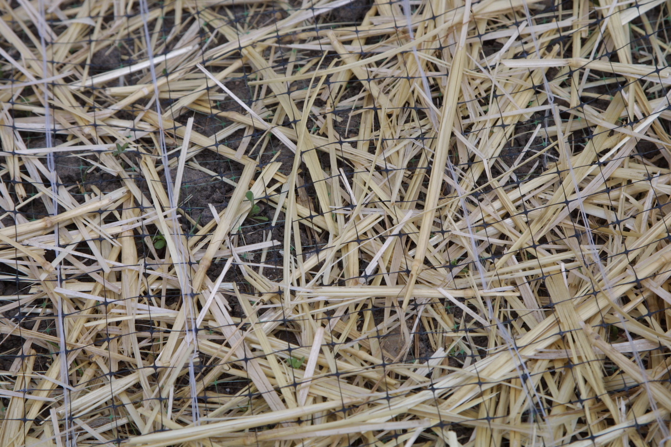 Straw Blankets SRW Products